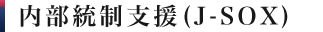 内部統制支援(J-SOX)